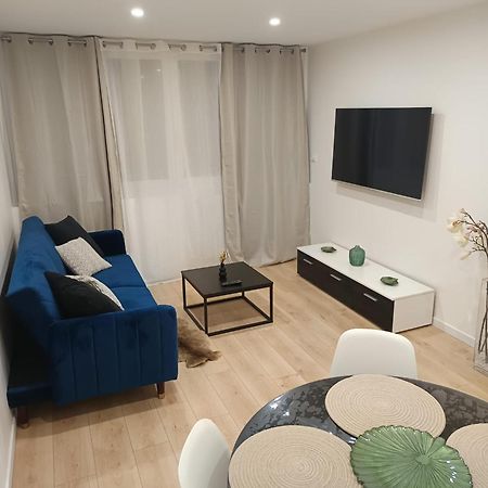 Superbe Appartement ! Σαιντ-Ετιέν Εξωτερικό φωτογραφία