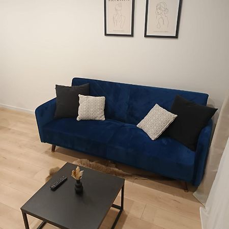 Superbe Appartement ! Σαιντ-Ετιέν Εξωτερικό φωτογραφία