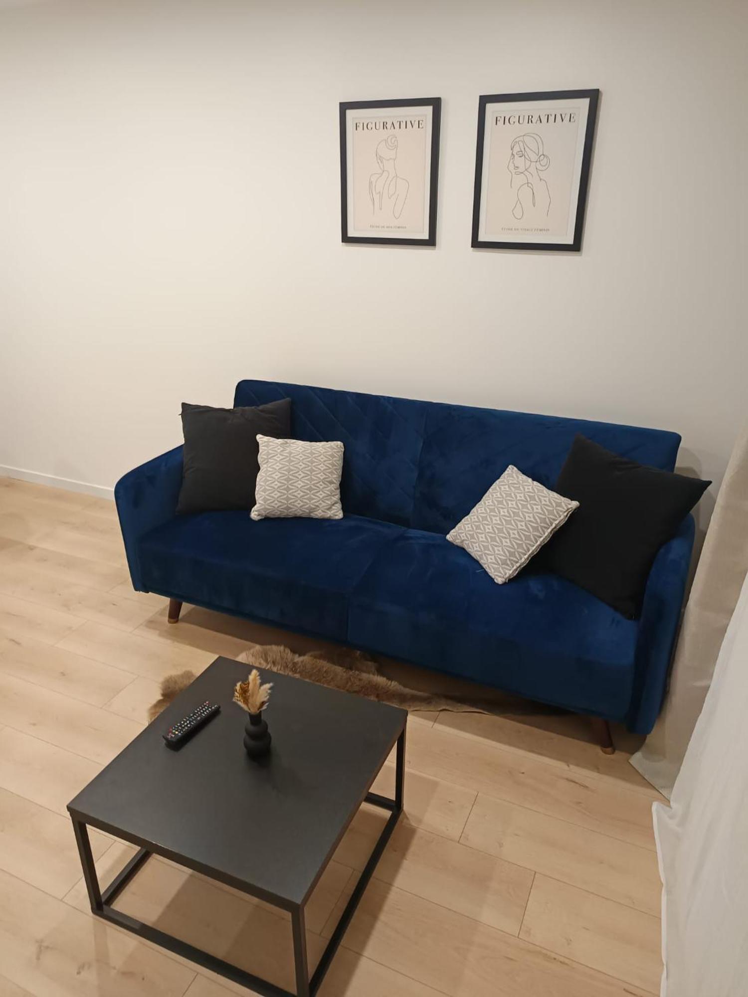 Superbe Appartement ! Σαιντ-Ετιέν Εξωτερικό φωτογραφία