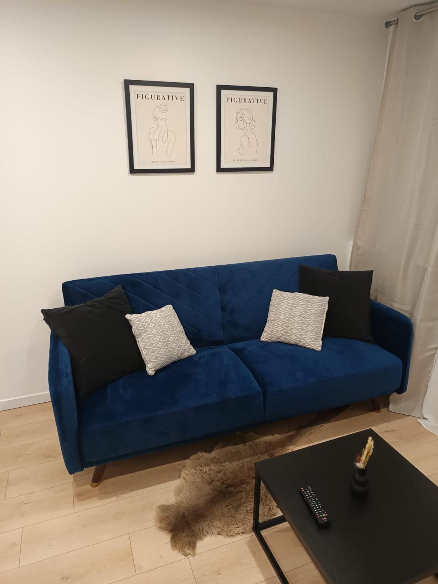 Superbe Appartement ! Σαιντ-Ετιέν Εξωτερικό φωτογραφία