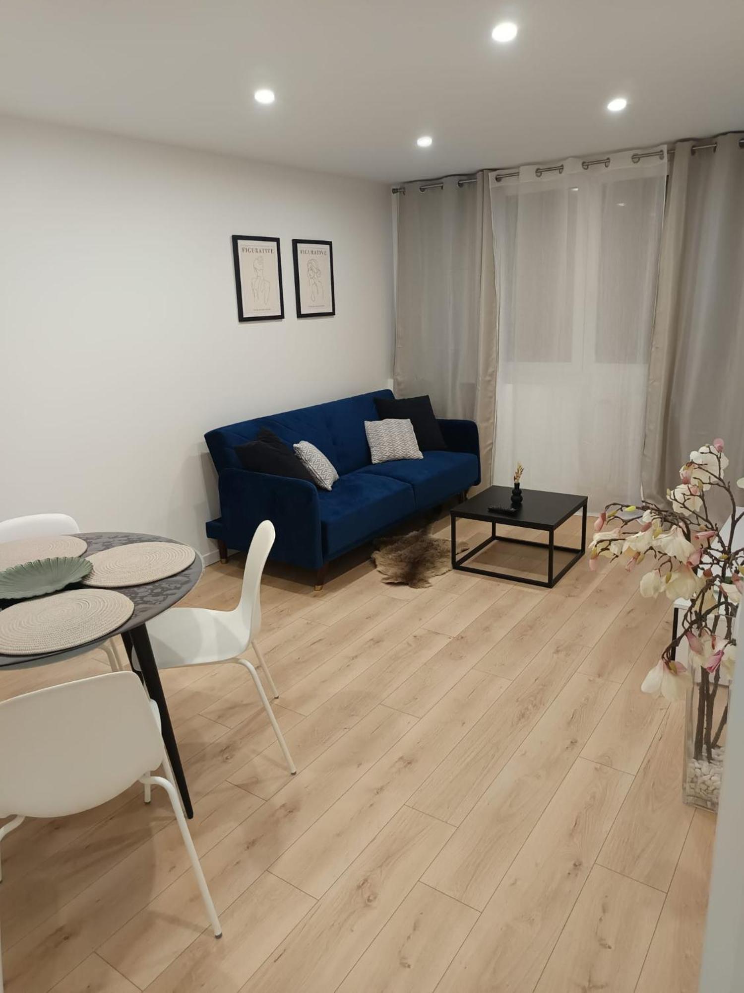 Superbe Appartement ! Σαιντ-Ετιέν Εξωτερικό φωτογραφία